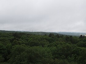 Image illustrative de l’article Forêt de Multonne