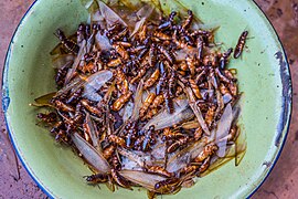 Termiti volanti (un cibo del Mozambico)