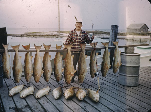 Hatteras 1949