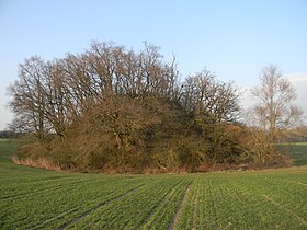 Image illustrative de l’article Motte castrale de Saint-Jean-de-Thurigneux