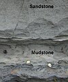 Close up of sandstone and mudstone layers