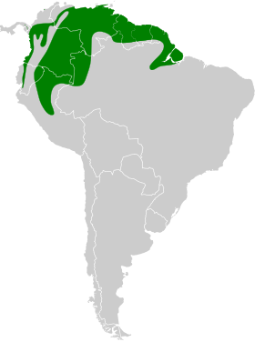 Distribución geográfica del semillero piquigrande.