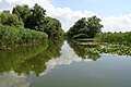 多瑙河生物圈保護區（烏克蘭語：Дунайський біосферний заповідник）