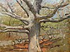 The Great Oak, painted by Allen Butler Talcott