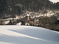 Burgruine Wildberg