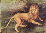 Lion d’Albrecht Dürer.