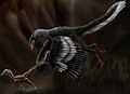 Archaeopteryx