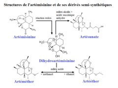 Structure de l'artémisinine et de ses dérivés semi-synthétiques