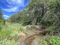 Cable Creek with an overflow channel to the right