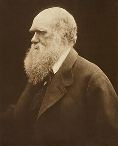 Charles Darwin, by Julia Margaret Cameron (restored by Adam Cuerden)