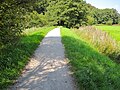 Ehemaliger Bahndamm der Kleinbahn zwischen Kurpark und Loose (heute Rad- und Wanderweg)