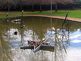 Flowers and music in the lake, 2005