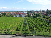 Panorama depuis les fenêtres du musée