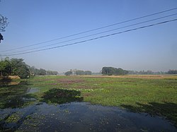 জিগাঁতে গন্দর নদী