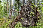 Lista över naturreservat i Västmanlands län