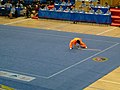 Image 55Modern forms are used in the sport of wushu, as seen in this staff routine (from Chinese martial arts)