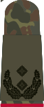 Oberstleutnant i.G. (Gen. staff service)