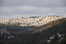 Image illustrative de l’article Massacre de la synagogue de Har Nof