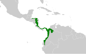 Distribución geográfica del hormiguero moteado.