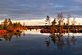 Lake Kaselaug in Rabivere nature reserve