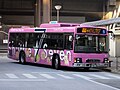 QQG-LV234N3 京成バス （東京特殊車体改造）