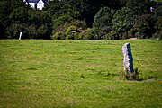 Kilmashogue standing stones