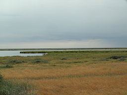 Qorghalzjyns naturreservat