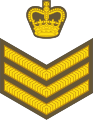 Staff sergeant (New Zealand Army)[31]