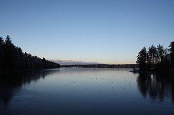 Blankis på Nydalasjön i början av november 2014.