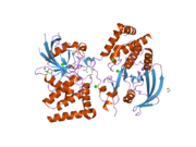 2h4v: Crystal Structure of the Human Tyrosine Receptor Phosphatase Gamma