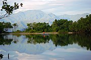 Mount Arfak is the highest point in West Papua and the Bird's Head Peninsula.