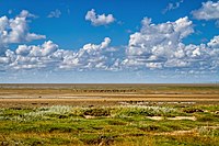 84. Platz: Michael Schroeren mit Landschaft im Nationalpark Schleswig-Holsteinisches Wattenmeer