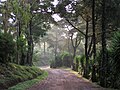 Fairy-tale like entrance to Selva Negra