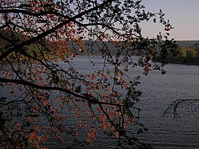 Image illustrative de l’article Lac de Butgenbach