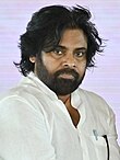 The portrait of Pawan Kalyan (2024).jpg