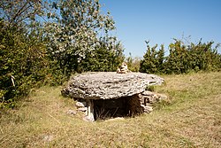 Image illustrative de l’article Tumuli-dolmens du Mont-de-Senne