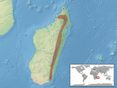 Área geográfica de U. sikorae em Madagascar