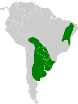 Distribución geográfica de la monjita blanca.