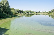 Пруд на реке в селе Каменногорка