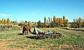 Paisaje rural con caballo pastando y apero de labranza en Arroyo Cerezo, Castielfabib (Valencia), otoño 2016.