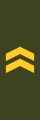 Swedish: Undersergeant (Finnish: Alikersantti) (Finnish Army)[8]