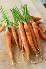 Photographie en couleurs, représentant des carottes.