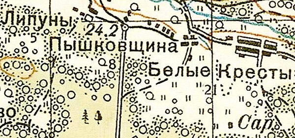 План деревни Белые Кресты. 1941 год