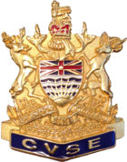 Badge cap of the CVSE