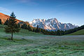 La Dent du Géant et les Grandes Jorasses vus de Petosan.