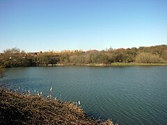 Fens Pools Middle Pool 1