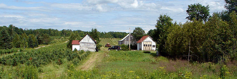 Ferme à Bois-Franc