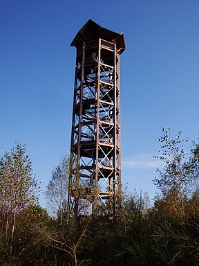 Aussichtsturm auf dem Haselberg (Wettinhöhe, nördlich von Königsbrück)