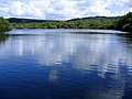 Le lac du Drennec.