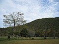 Little Cacapon Mountain viewed from Ginevan Cemetery near Little Cacapon